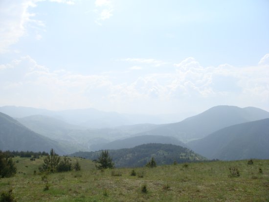 082-dsc02293.jpg.medium.jpeg