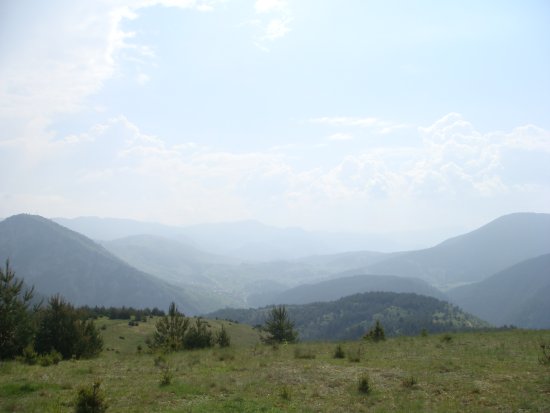 083-dsc02294.jpg.medium.jpeg