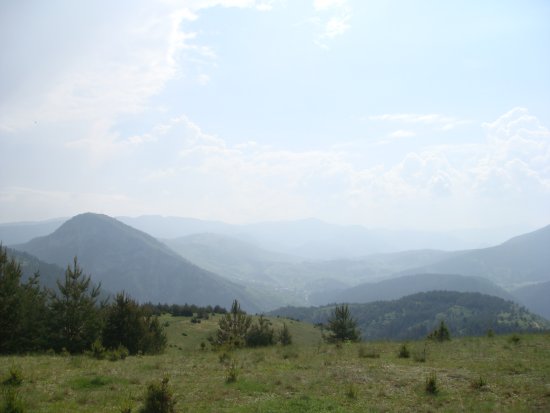 084-dsc02295.jpg.medium.jpeg