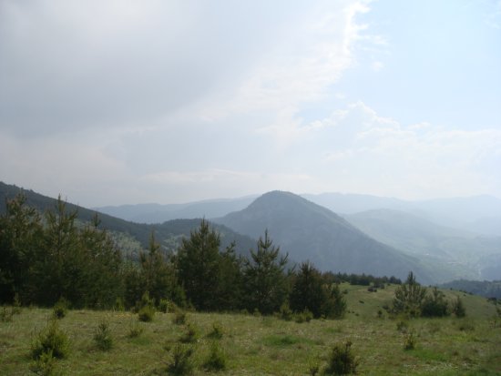 086-dsc02297.jpg.medium.jpeg