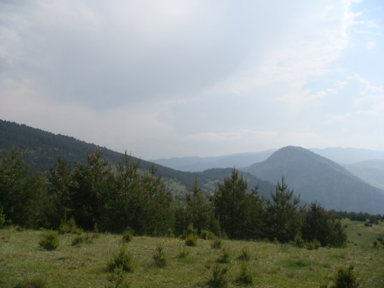 087-dsc02298.jpg.medium.jpeg