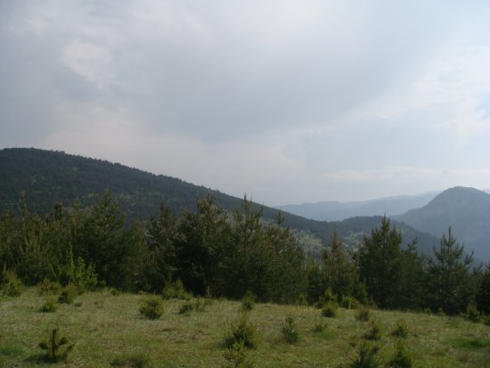 088-dsc02299.jpg.medium.jpeg