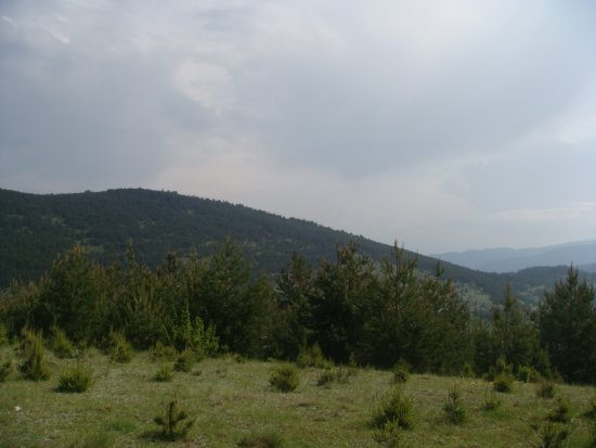 089-dsc02300.jpg.medium.jpeg