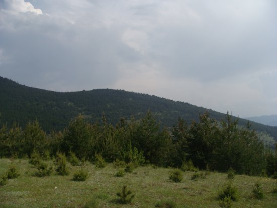 090-dsc02301.jpg.medium.jpeg