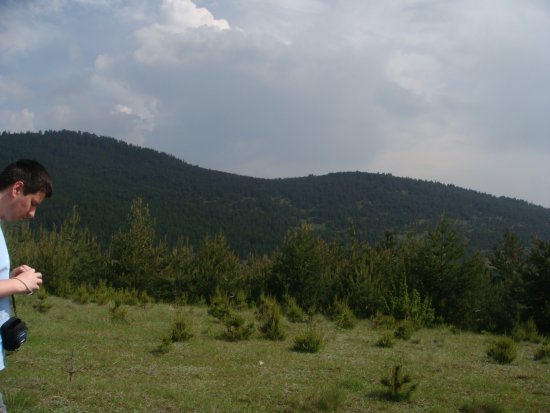 092-dsc02303.jpg.medium.jpeg