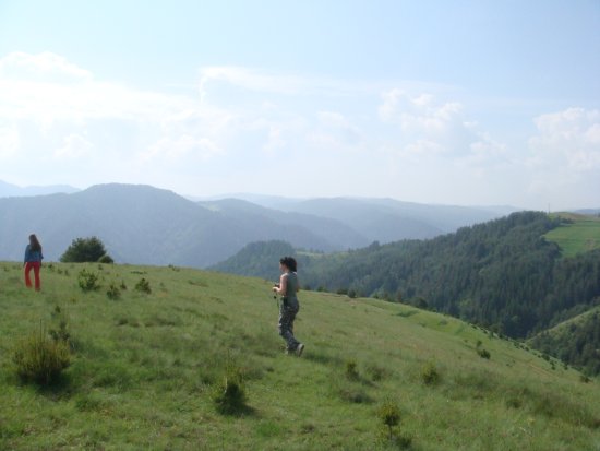 096-dsc02307.jpg.medium.jpeg