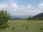 113-dsc02324.jpg.small.jpeg
