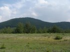 117-dsc02328.jpg.small.jpeg