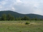 118-dsc02329.jpg.small.jpeg