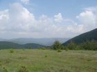 121-dsc02332.jpg.small.jpeg