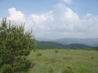 122-dsc02333.jpg.small.jpeg
