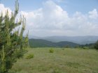 123-dsc02334.jpg.small.jpeg