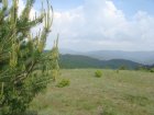 125-dsc02336.jpg.small.jpeg