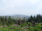 127-dsc02338.jpg.small.jpeg