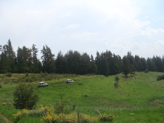 131-dsc02342.jpg.medium.jpeg