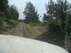 135-dsc02346.jpg.small.jpeg