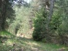 146-dsc02359.jpg.small.jpeg