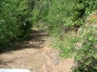 154-dsc02368.jpg.small.jpeg