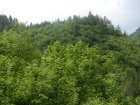 166-dsc02380.jpg.small.jpeg