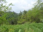 167-dsc02381.jpg.small.jpeg