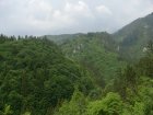 168-dsc02382.jpg.small.jpeg