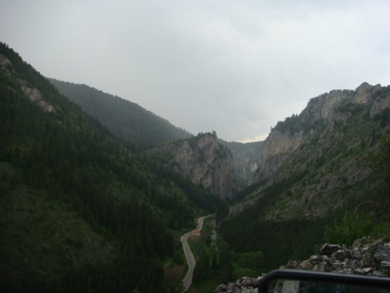 184-dsc02401.jpg.medium.jpeg