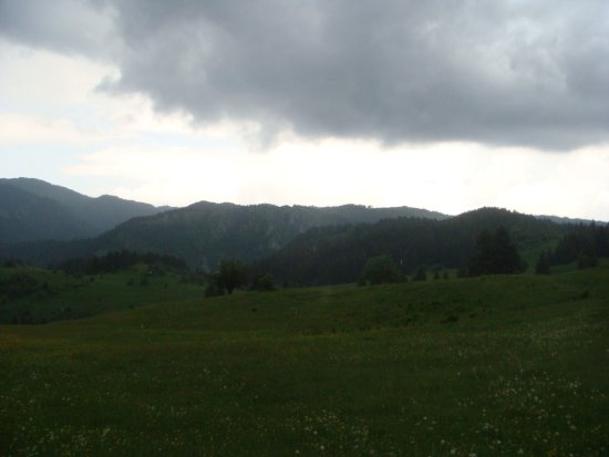 186-dsc02405.jpg.medium.jpeg