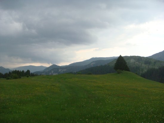 188-dsc02407.jpg.medium.jpeg