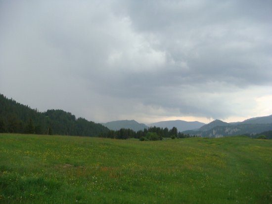 189-dsc02408.jpg.medium.jpeg