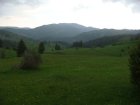190-dsc02409.jpg.small.jpeg