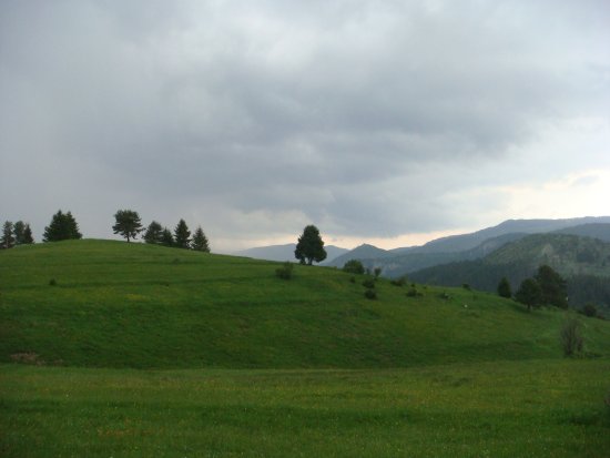 191-dsc02410.jpg.medium.jpeg