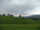191-dsc02410.jpg.small.jpeg