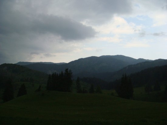 196-dsc02415.jpg.medium.jpeg
