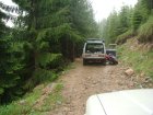 197-dsc02417.jpg.small.jpeg