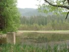 199-dsc02419.jpg.small.jpeg