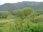 204-dsc02425.jpg.small.jpeg