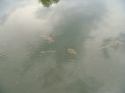 205-dsc02426.jpg.small.jpeg