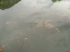 207-dsc02428.jpg.small.jpeg