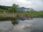 208-dsc02429.jpg.small.jpeg