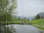 220-dsc02441.jpg.small.jpeg