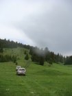 239-dsc02460.jpg.small.jpeg