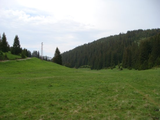 240-dsc02461.jpg.medium.jpeg