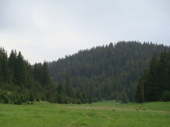 243-dsc02464.jpg.medium.jpeg