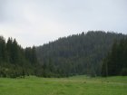 243-dsc02464.jpg.small.jpeg