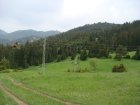 245-dsc02469.jpg.small.jpeg