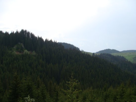 257-dsc02484.jpg.medium.jpeg