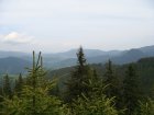 263-dsc02491.jpg.small.jpeg