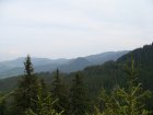 265-dsc02493.jpg.small.jpeg