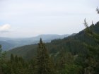 267-dsc02495.jpg.small.jpeg