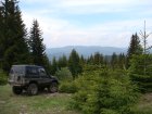 269-dsc02497.jpg.small.jpeg
